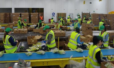 И Великобритания мисли за 4-дневна работна седмица 