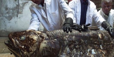 Риба от времето на динозаврите плува в океана