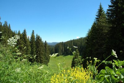 Откриха летния сезон в планината