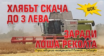 Шок: Хлябът скача до 3 лева заради лоша реколта
