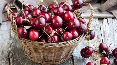 Родните череши са обречени заради внос от Турция