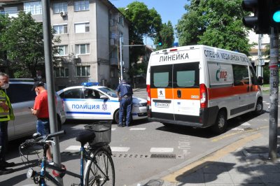 Потрес: Шофьорка с условна присъда за убийство на зебра 