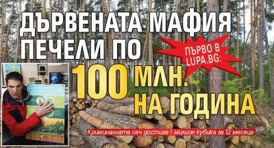 Първо в Lupa.bg: Дървената мафия печели по 100 млн. на година