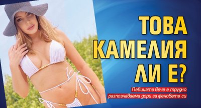 Това Камелия ли е?