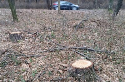 Закопчаха бракониер с 30 акта за незаконна сеч 