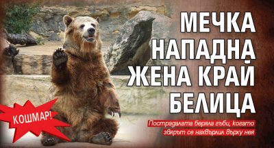 Кошмар! Мечка нападна жена край Белица 