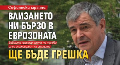 Софиянски мрачно: Влизането ни бързо в еврозоната ще бъде грешка