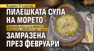 Аларма в Lupa.bg: Пилешката супа на морето - замразена през февруари