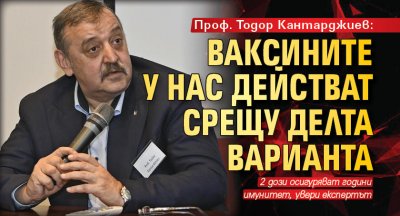 Проф. Тодор Кантарджиев: Ваксините у нас действат срещу делта варианта