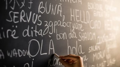 Survey: Nearly 80% of Bulgarians know a foreign language*