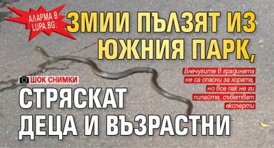 Аларма в Lupa.bg: Змии пълзят из Южния парк, стряскат деца и възрастни (ШОК СНИМКИ)