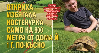 Откриха избягала костенурка само на 800 метра от дома й 1 г. по-късно