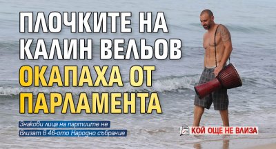Плочките на Калин Вельов окапаха от парламента (кой още не влиза)