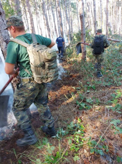 20 военни борят пожара край Свиленград