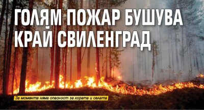 Голям пожар бушува край Свиленград