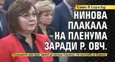 Само в Lupa.bg: Нинова плакала на пленума заради Р. Овч.