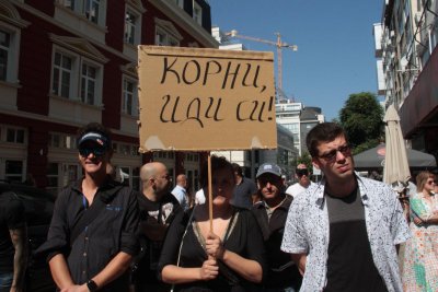 Социалисти: Корни, иди си! (СНИМКИ)