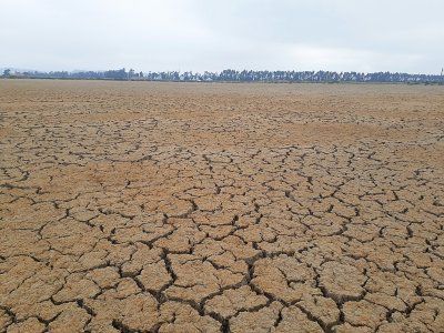 Сушите са причинили смъртта на 650 хиляди души за 50 години