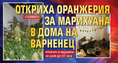 Откриха оранжерия за марихуана в дома на варненец (Снимки)