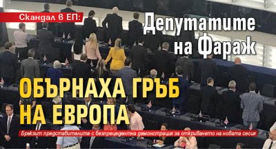 Скандал в ЕП: Депутатите на Фараж обърнаха гръб на Европа