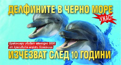 Ужас! Делфините в Черно море изчезват след 10 години