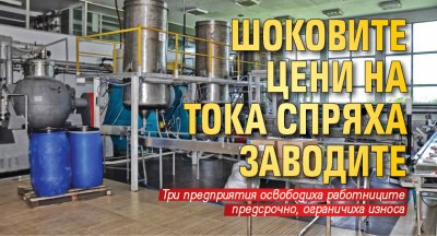 Шоковите цени на тока спряха заводите 