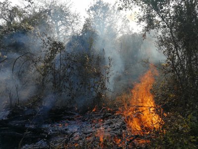 Загасиха огромен пожар край пловдивско село