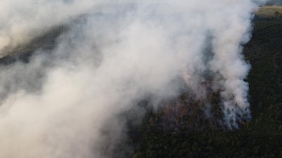 Пепелище в Твърдица: Стотици декари гора са унищожени от пожара