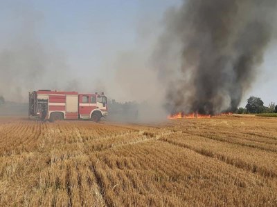 Голям пожар бушува край Пловдив (СНИМКИ)