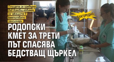 Благородно: Родопски кмет за трети път спасява бедстващ щъркел