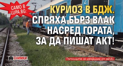 Само в Lupa.bg: Куриоз в БДЖ. Спряха бърз влак насред гората, за да пишат акт! (СНИМКИ)