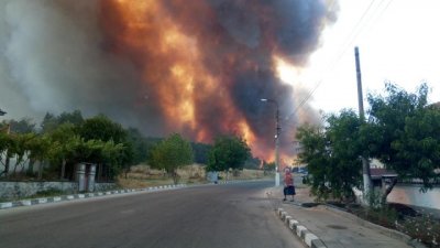 Огнено бедствие край Старосел, евакуират хората (ВИДЕО)