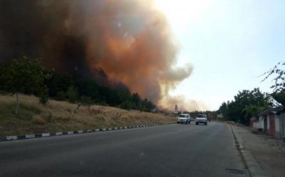 ТЪЖНО: Ето кои са загиналите лесничеи