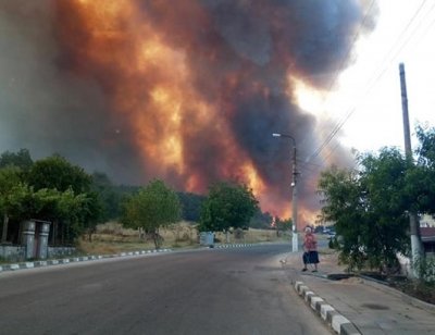 СТРАШНО Е! Пожарът в Старосел захапа 10 къщи