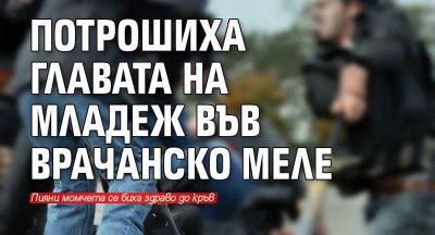 Потрошиха главата на младеж във врачанско меле