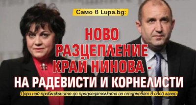 Само в Lupa.bg: Ново разцепление край Нинова - на радевисти и корнелисти