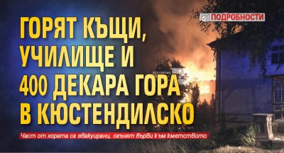 Горят къщи, училище и 400 декара гора в Кюстендилско (подробности)