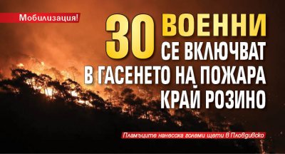 Мобилизация! 30 военни се включват в гасенето на пожара край Розино