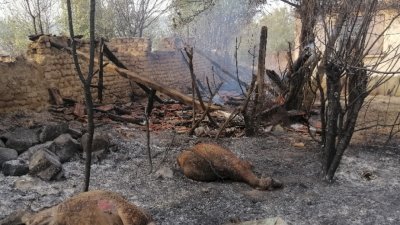 Дежурни екипи следят тлеещите огнища на пожарите в Старосел и Кръстевич