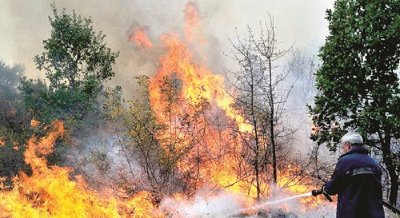 Пожарът в Брягово - озаптен