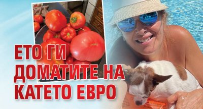 Ето ги доматите на Катето Евро