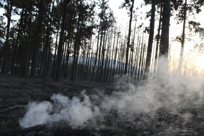 Наши огнеборци 6 дни се борят с пожарите в Северна Македония