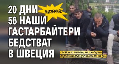Мизерия: 20 дни 56 наши гастарбайтери бедстват в Швеция
