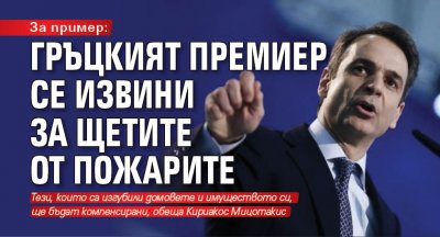 За пример: Гръцкият премиер се извини за щетите от пожарите 