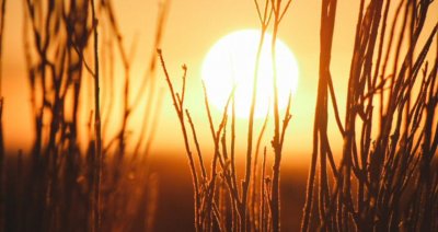 Живакът отново скача до 37 градуса 