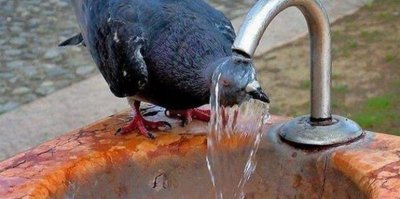 ПИЙТЕ ВОДА: Жегите се връщат!