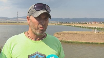 Масово измиране на риба в язовира на софийското село Мрамор