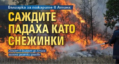 Българка за пожарите в Атина: Саждите падаха като снежинки