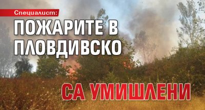 Специалист: Пожарите в пловдивско са умишлени