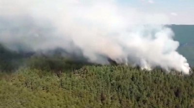 Вертолет "Кугър" се включи в гасенето на огъня в Родопите